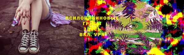 не бодяженный Абаза