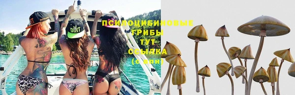 не бодяженный Абаза