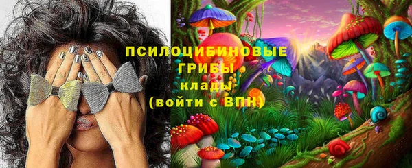 Альфа ПВП Абдулино