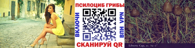 Псилоцибиновые грибы Magic Shrooms  Ряжск 